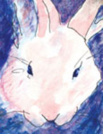 Kathy Wariner's bunny