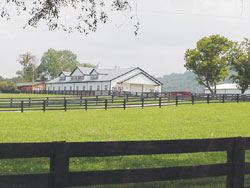 Richwood Plantation stables.